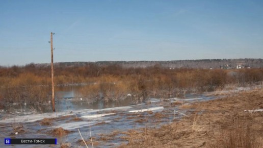 � ������ ������ ����� �� ���� ������� ����