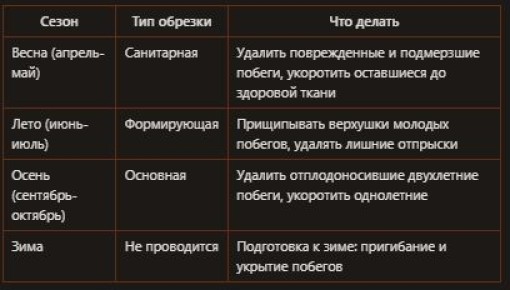 ������� ������� �������: ���� � �������� ������