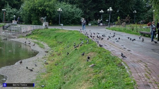 Томские парки и скверы обработали от клещей