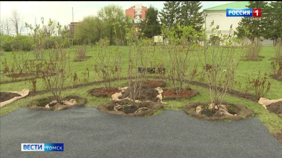 Первый в Томске сирингарий открылся в Губернаторском квартале