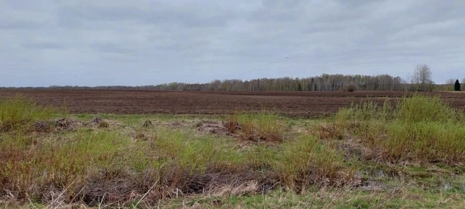Прокуратура Бакчарского района Томской области помогла муниципалитету вернуть земельный участок сельскохозяйственного назначения