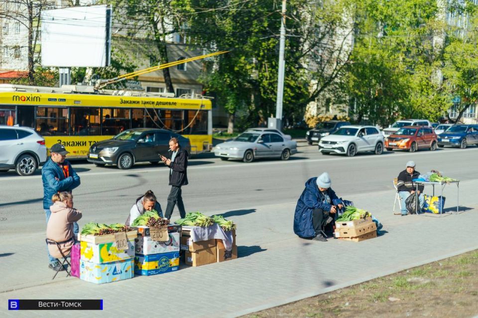 Томичи выносят на продажу первый урожай - фоторепортаж Томичи выносят на продажу первый урожай - фоторепортаж