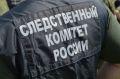 Следователи СК России устанавливают обстоятельства нападения медведя на мужчину в Тегульдетском районе