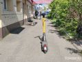 ������� ������� ��������: ����� ��������-���������� ��� ������ ���������