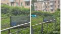Курортный остров во дворе с бассейном, мангалом и кроликами