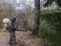 Лагерный сад, лагеря, кладбища - где еще обработали территории от клещей в Томской области?