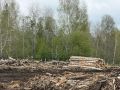 Прокуратура Томского района потребовала очистить от отходов лесопиления территории четырех крупных пилорам