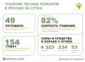�� ��������� ����� � 12 �������� ������ �������� 49 ������ �������