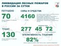 За прошедшие сутки в России потушены 70 лесных пожаров в 19 регионах