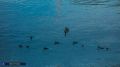 ������� ����: �������� ������� � �������� 20 ���� 2026 ����