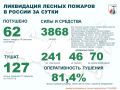 За прошедшие сутки в России потушены 62 лесных пожара в 14 регионах