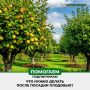 Уход за саженцами: секреты успешной посадки и заботы