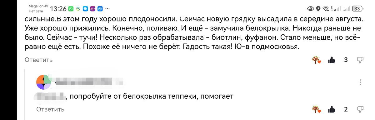 Как эффективно защитить клубнику: профилактика и борьба с вредителями