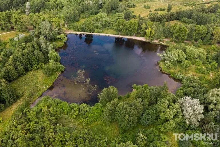 В водоемах Томска нашли кишечную палочку и загрязнение бытовыми стоками