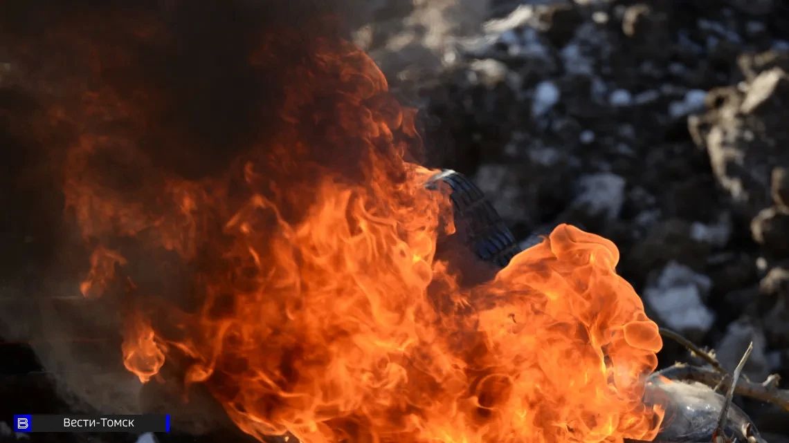 В Томской области ликвидированы пять лесных пожаров