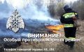 Внимание! На территории Томской области введен особый противопожарный режим