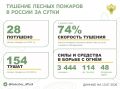 �� ��������� ����� � 9 �������� ������ �������� 28 ������ �������