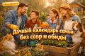 Как организовать дачные дела без споров: полезные советы и календарь