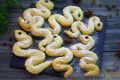 Новый год со вкусом: самые изысканные рецепты для праздничного стола 2025