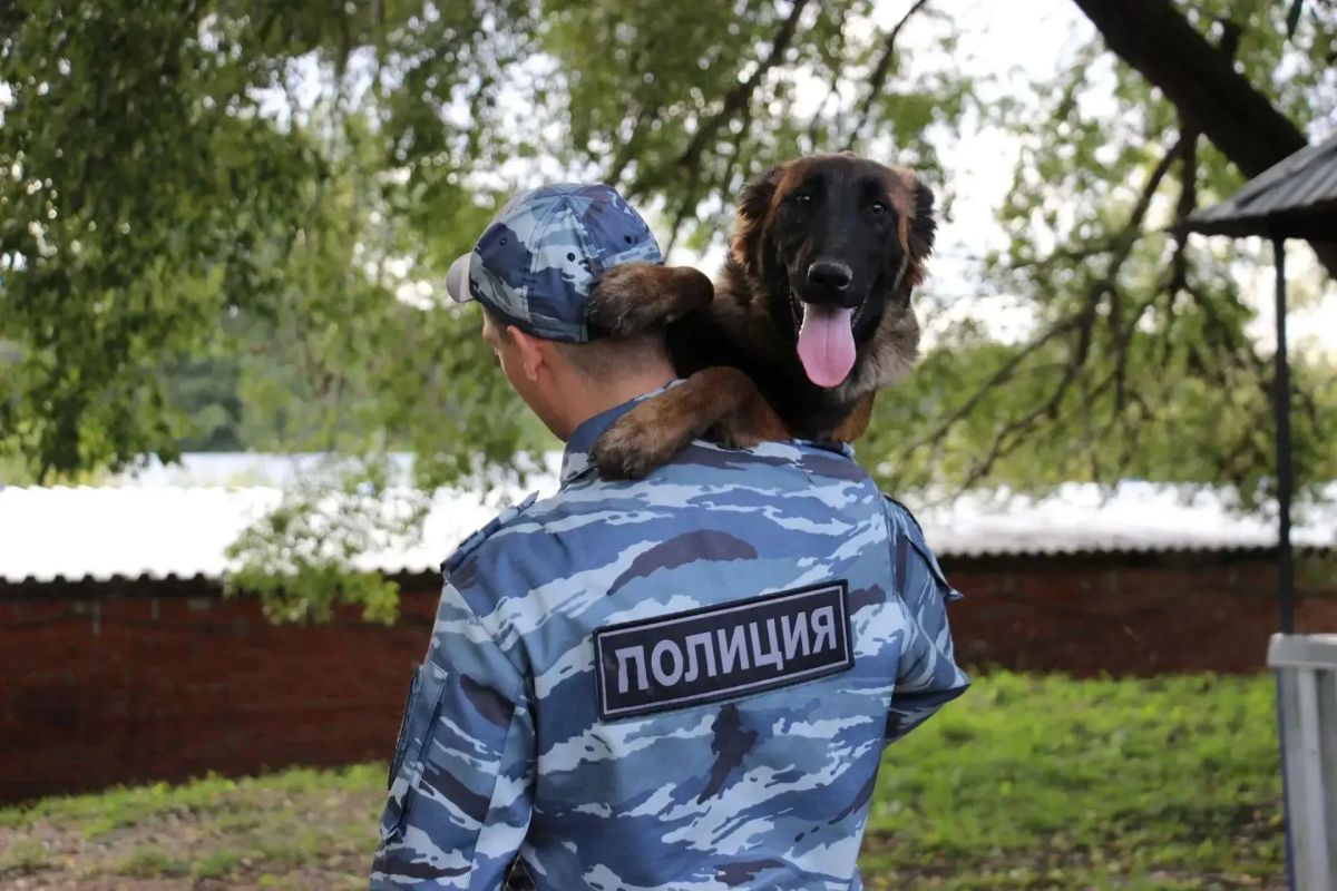 УМВД России по Томской области приглашает томичей и жителей области на службу в органы внутренних дел