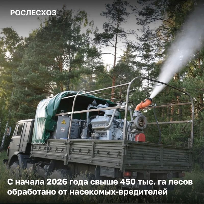 С начала 2026 года мероприятия по ликвидации очагов вредных организмов прошли в 12 регионах страны