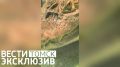 ����� �������� �������� ������� �������: ��� ������ �������� III ����� � ���������