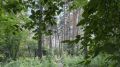 Суд обязал лесозаготовителя выплатить 1 млн за ущерб природе в Томской области