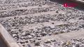 В Томске возобновилось полноценное рельсовое сообщение.