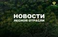 AK&M: Рослесхоз: в регионах все еще продолжается усиление группировки для тушения лесных пожаров