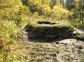 Таловские чаши под Томском попали в топ-10 удивительных мест России