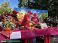 Фестиваль «Дары природы» прошел в Кировском районе