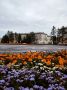 Красота Северска от нашей подписчицы