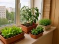 Плесень в домашних огородах: невидимый враг вашего здоровья