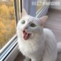 ��������� ������ ����. ����� ��� �� �����, ��������� ������ ������ ���������� ����� � � ���������� ������������� �� ������� ����������