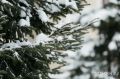 Сентябрь решил не церемониться: в Томске возможны заморозки до -2°С