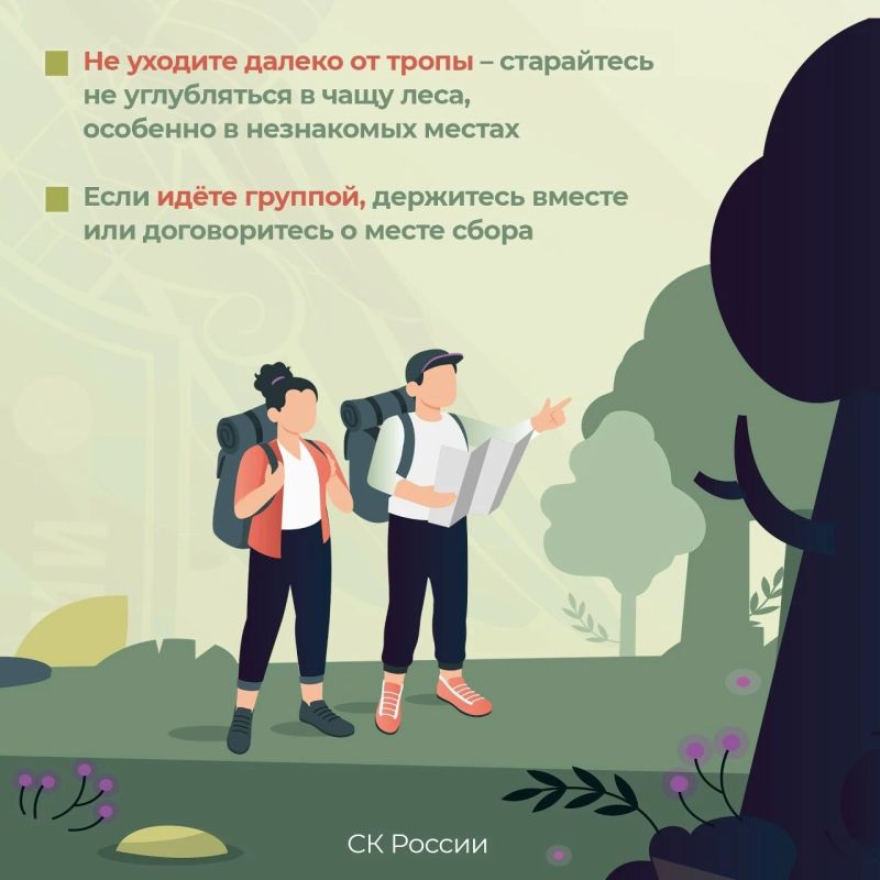 Следственное управление СК России по Томской области призывает соблюдать правила безопасного поведения в лесу Следственное управление СК России по Томской области призывает соблюдать правила безопасного поведения в лесу