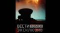 Неожиданный прохожий: в Томске очевидец встретил медвежонка