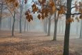 Доброе утро, Нижний!. Утром +12°, пасмурно, днем + 17°C, облачно с прояснениями
