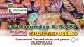 Золотая осень в Томске: где искать лучшие фермерские продукты и осеннее настроение