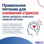 Современный ритм жизни часто держит нас в напряжении: дедлайны, бытовые заботы, информационный поток — все это создает постоянную нагрузку на нервную систему