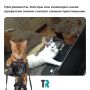 Программисты и инженеры: какие профессии томичи считают самыми престижными
