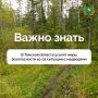 Губернатор Томской области Владимир Мазур поручил муниципалитетам усилить меры по защите жителей от медведей