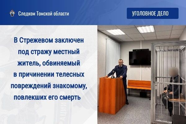 В Стрежевом заключен под стражу местный житель, обвиняемый в причинении телесных повреждений знакомому, повлекших его смерть