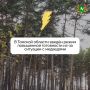 В Томской области введён режим повышенной готовности из-за ситуации с медведями