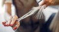 ������� �� ���� �����: ������ ��������� ������� ������ �������������� � ������