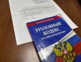 Выдуманная кража обернулась для томички уголовным наказанием