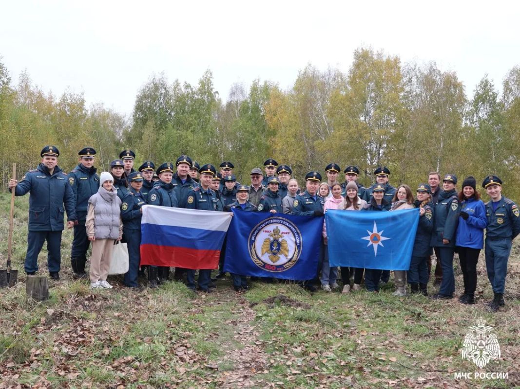 К 100-летию государственного пожарного надзора: томские сотрудники МЧС высадили 100 деревьев
