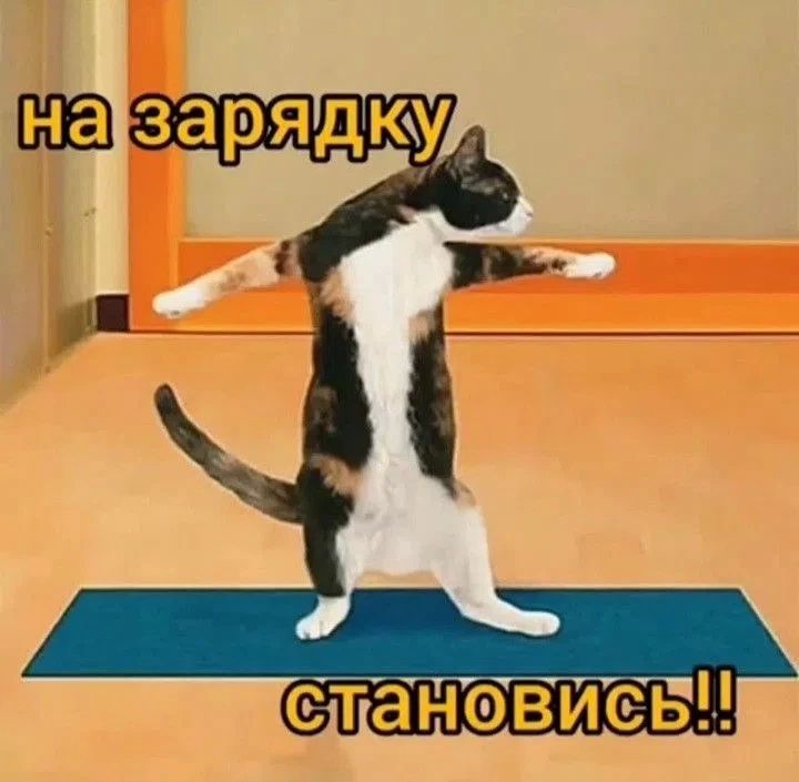 Раз-два — и к работе: почти половина томичей хочет зарядку в офисе