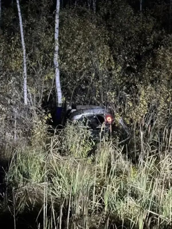 5 октября около 21 часа на 9-м километре автодороги «Камаевка - Асино - Первомайское», автомобилем «Форд Мондео», под управлением 28-летнего водителя, совершен наезд на медведя, вышедшего на проезжую часть