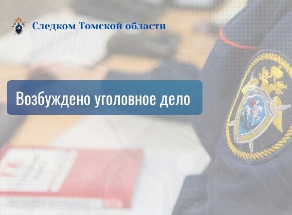 По размещенной в соцмедиа информации об избиении мужчины в помещении магазина в Томске возбуждено уголовное дело о хулиганстве